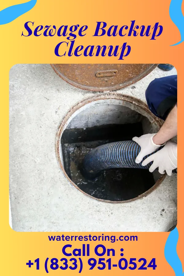Sewage Backup Cleanup in Jacksonville, NC