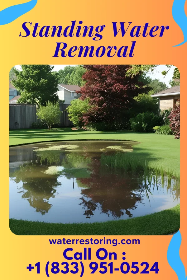 Standing Water Removal in Jacksonville, NC